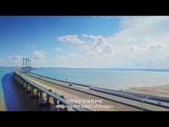 AC220V 50Hz 運動中の重量システム IP68 過重量を識別する