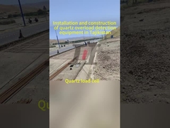 原産地 運動中の重量システム 精度の高い重量化のために 時速0.5~105km/h