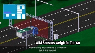 WIM センサー: 走行中の正確な車両重量